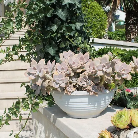 Apartmens Antonio 88 Lägenhet *