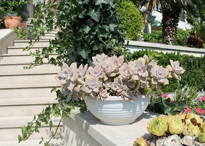 Apartmens Antonio 88 아파트 *